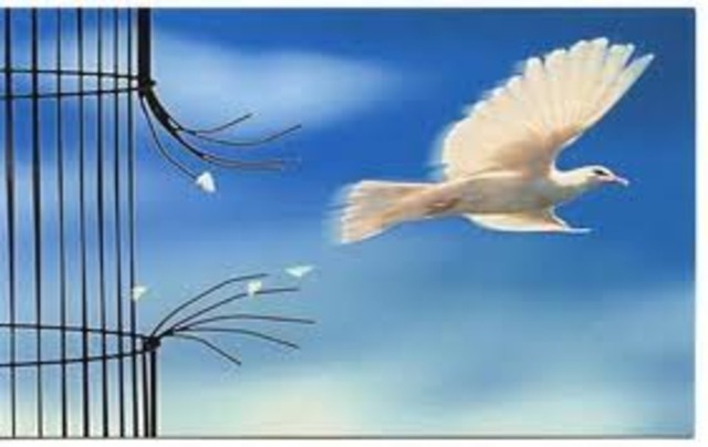 Hacen lo que ellos quieren