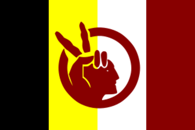 American indian movement
