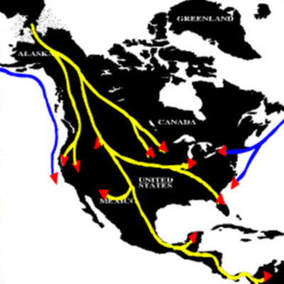 Timeline: History of the United of America