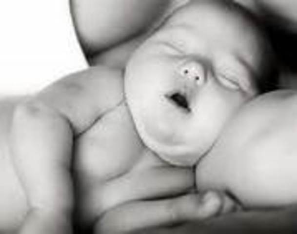 Susan B Anthony was born