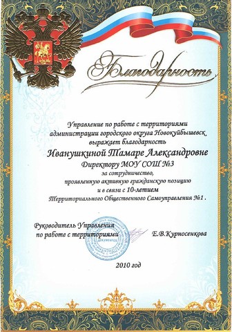 Иванушкиной Т.А. за активную жизненную позицию