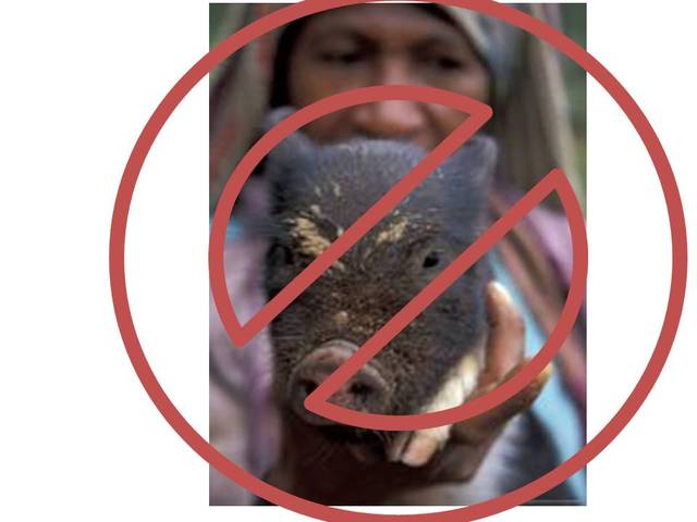 Punishments for Hog Stealing (Part 2)