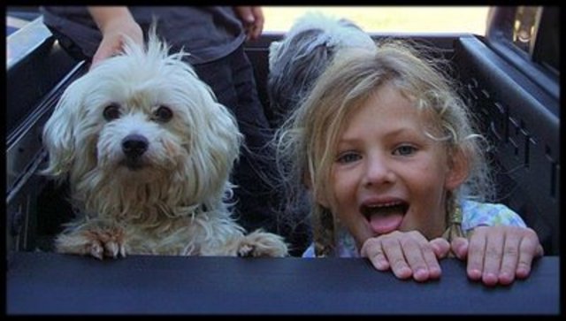 The day we got spike