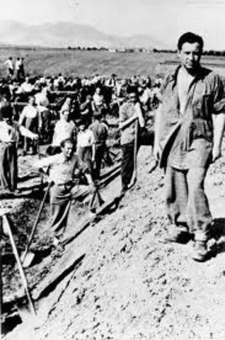 Romania passes law condemning adult Jews to forced labor.