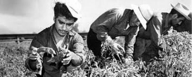 Bracero Appropriations