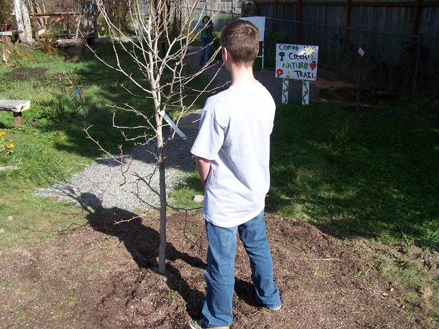Donovan pees on a tree......