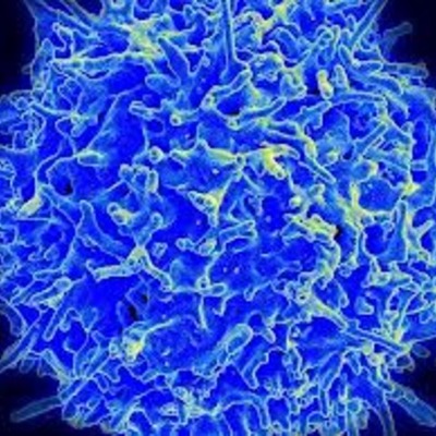 Timeline: Cell theory