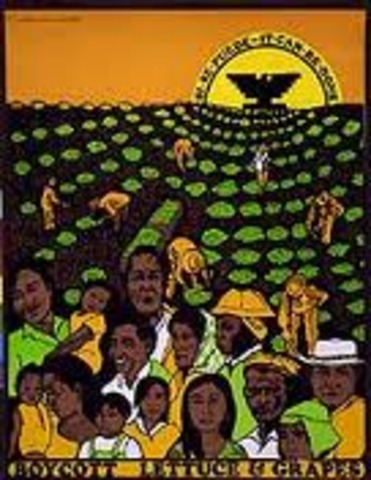 United Farm Workers Organizing Committee