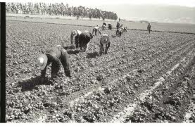 1951 Public Law 78-Extension of Bracero Program