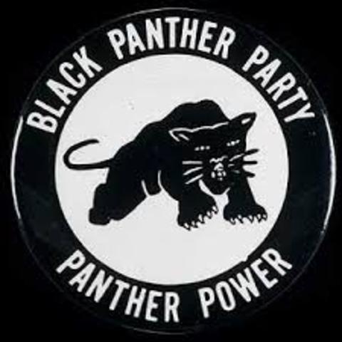 Black Panthers