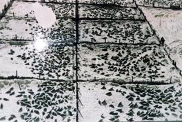 A special internment camp for non-Jewish Polish youth is opened in Lódz.