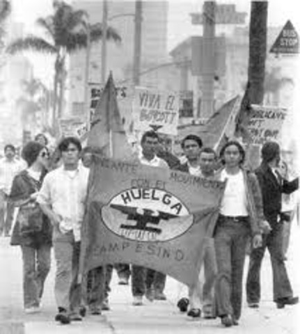 United Farm Workers Organizing Committee (UFWOC)
