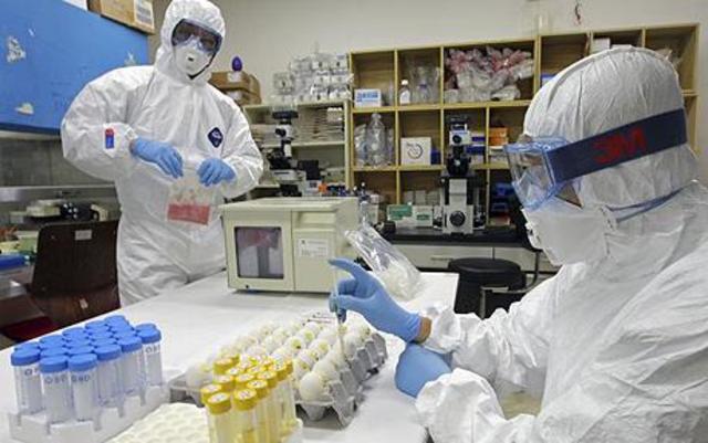 Swine Flu Pademic went global