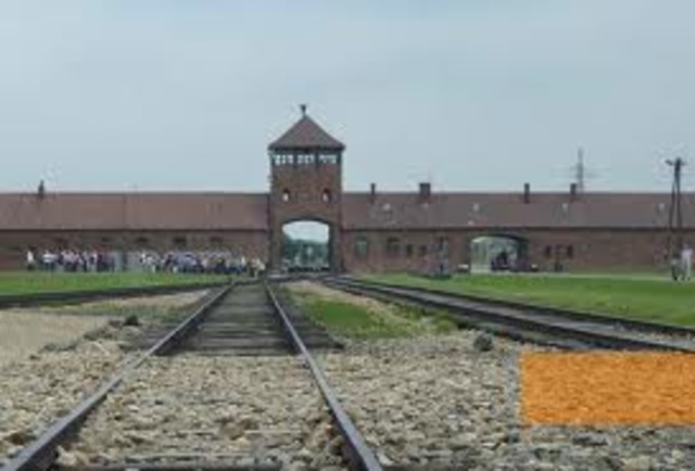 All Jews in concentration camps in Germany are sent to death camp at Auschwitz.