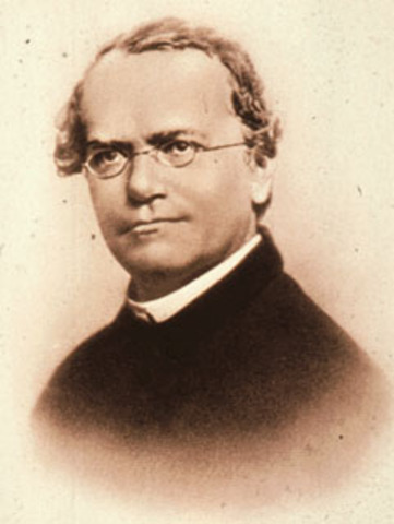 Mendel