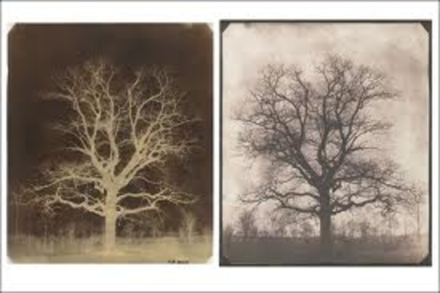 calotype was invented.