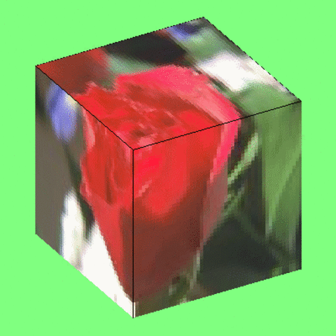 Z-Buffer und Texture Mapping