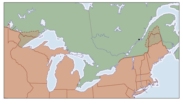 Webster-Ashburton Treaty