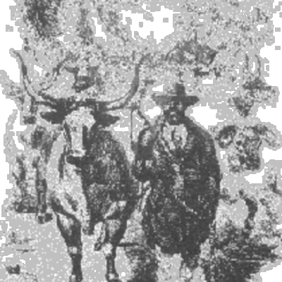 Timeline: Western Immigration