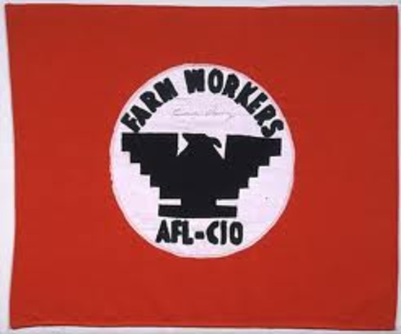 United Farm Workers Organizing Committee (UFWOC)