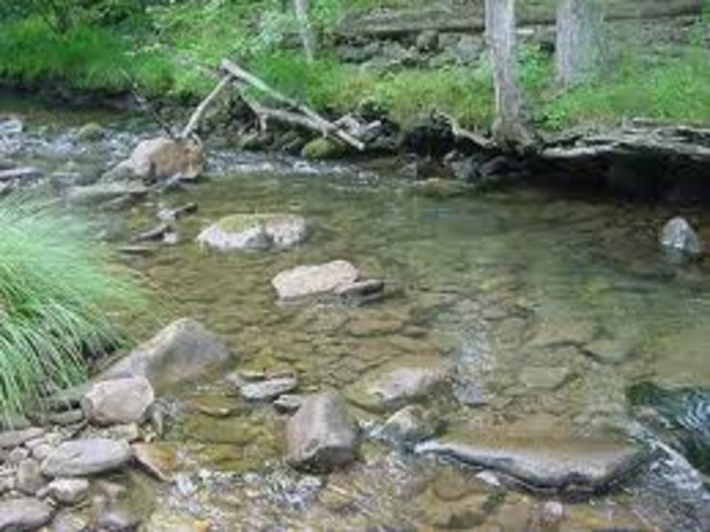 The man jumped the dead stream