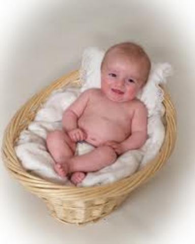 Bobbie harmon was born