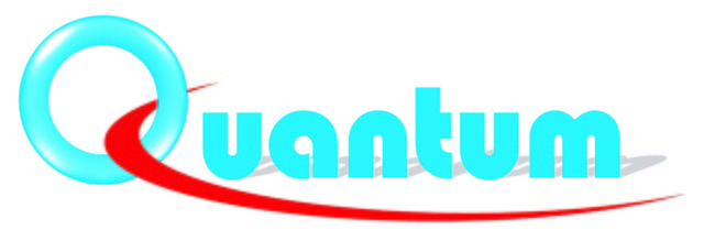 Quantum Computer Services debuts