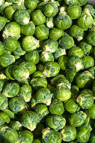 Brussel Sprouts!!!!!!!!!!!!1