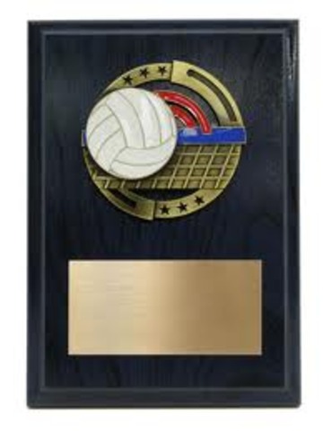 Trinity Cathlic Volleyball Tournament