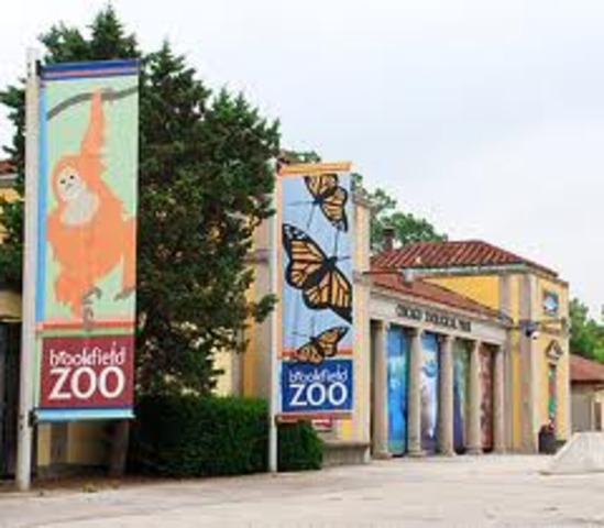 Went to the zoo with my buds.