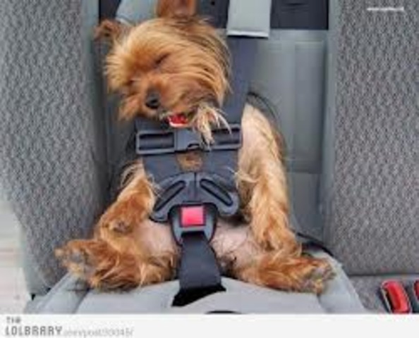 Taking a trip somewhere