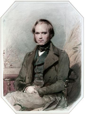 Charles Darwin begins to theorize the theory of evolution