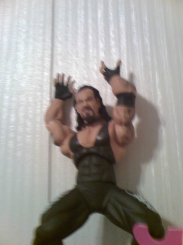 My 6th birthday wrestling theme