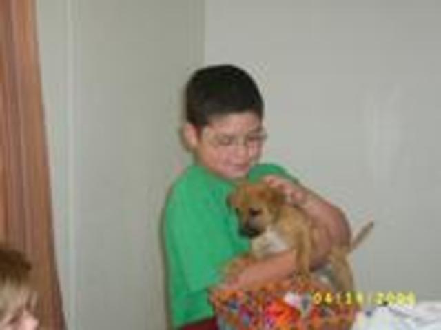 My 7th birthday got my dog
