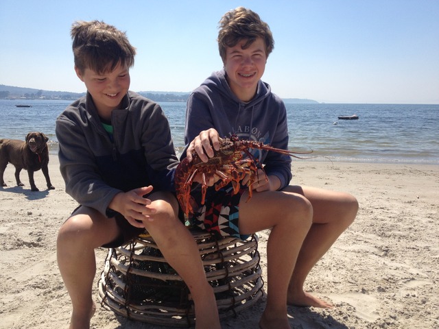 a nice big cray that we caught in one of the pots