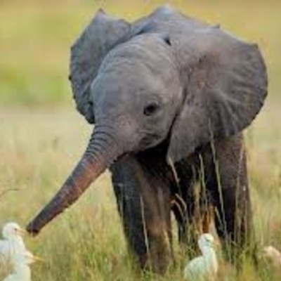 Timeline: FrIeNdS BiRtHdAyS