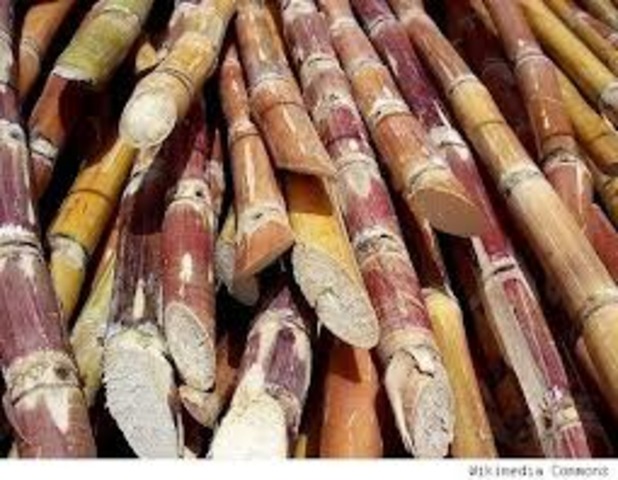 United States stops the imports of sugar in Cuba