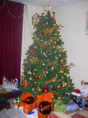 Primero año nuevo fuera de mi casa :s