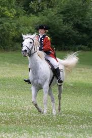 Andrew Jackson is Enlisted in Revolutionary Army