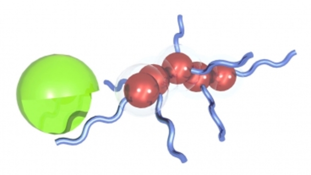 New cancer detection