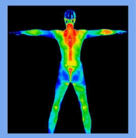 Detection Option:Thermography