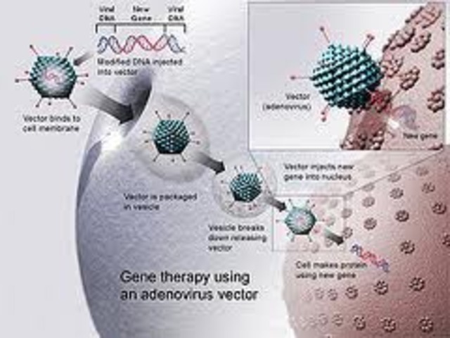 Human Gene therapy