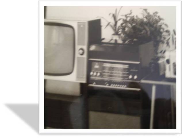 организация развивающей среды