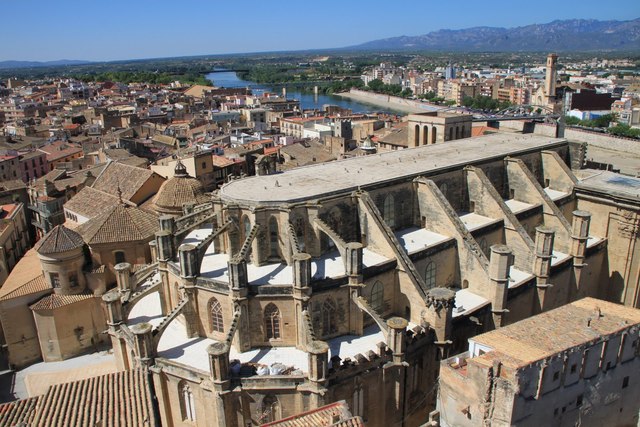 The caprute of Tortosa.