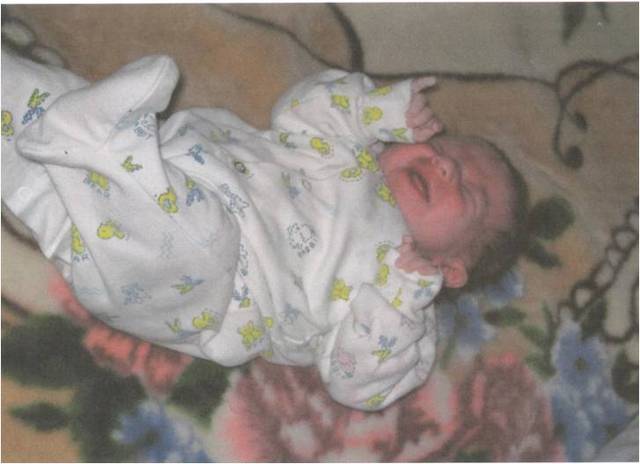 the   year       that        i      was    born