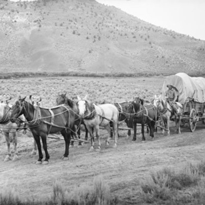 Timeline: Western Migration and Expansion