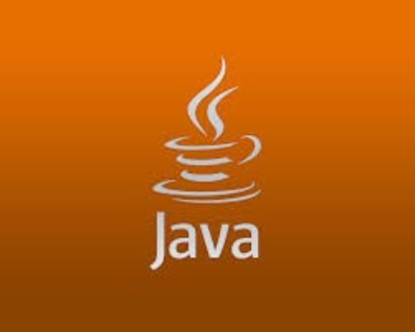 •The Java computer language invented.