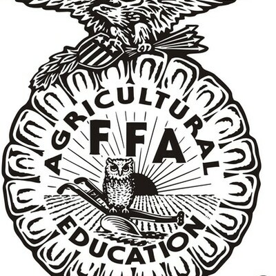 Timeline: Las Actividades de Rosa