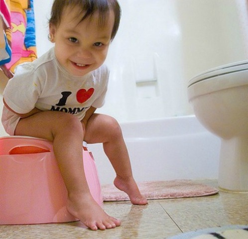 Stage 02: Anal Stage (1 to 3 years of age )