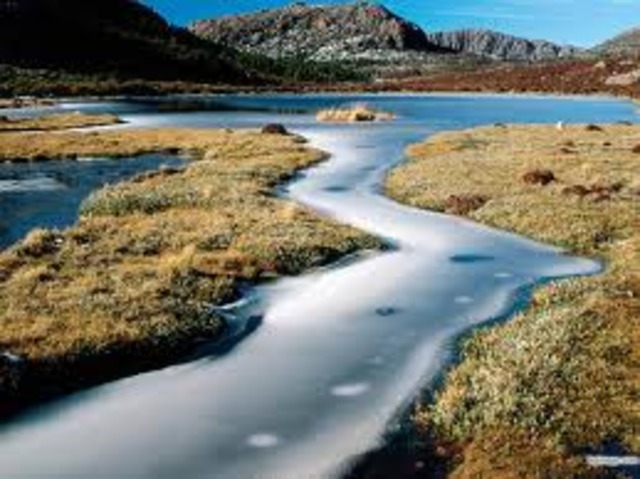 The water comes and life begins